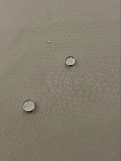 JS ZOYG  消光尼絲紡滿天星 側面照